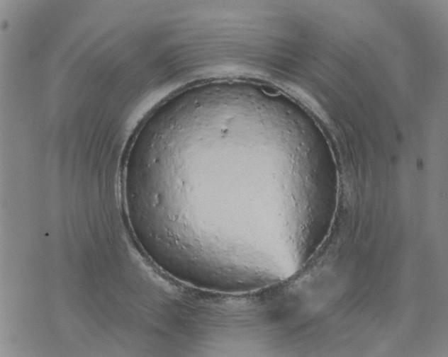 X0000074300839200609081915