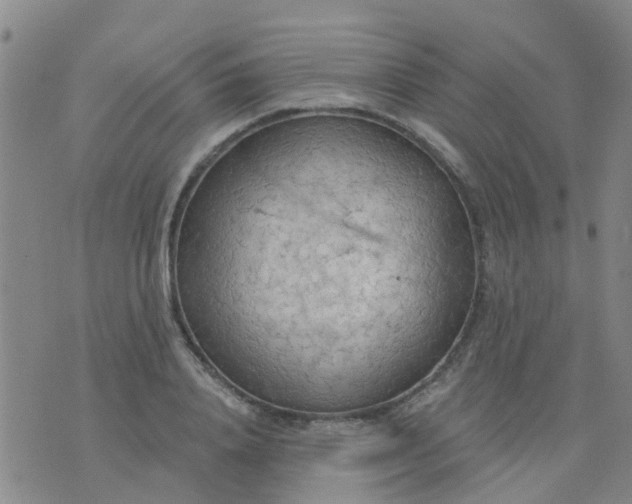 X0000074300840200609081915