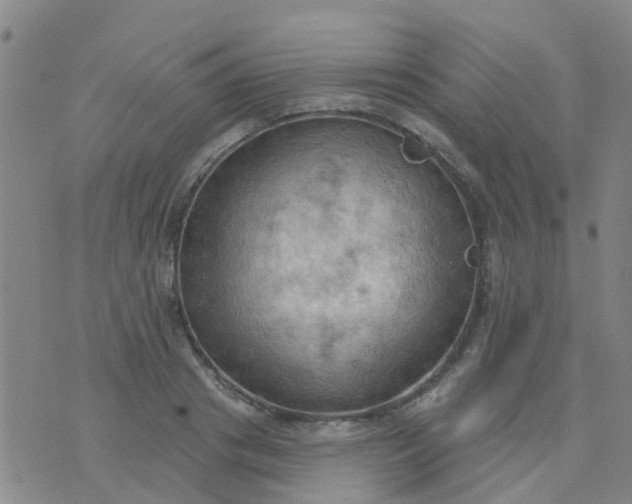 X0000074300841200609081915