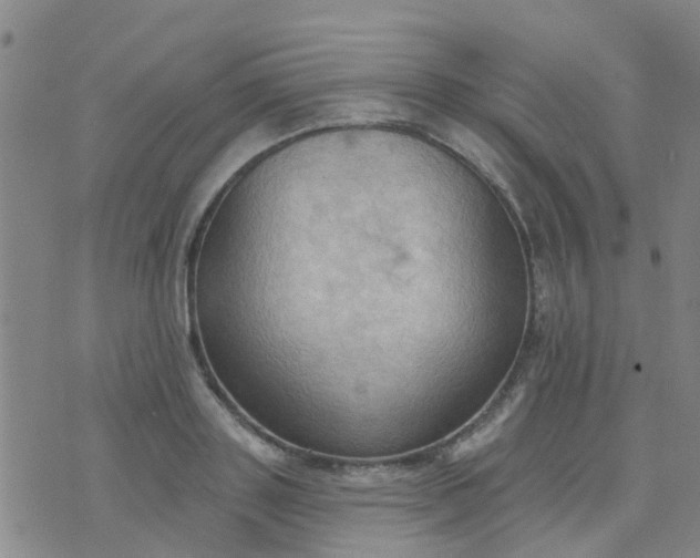 X0000074300843200609081915