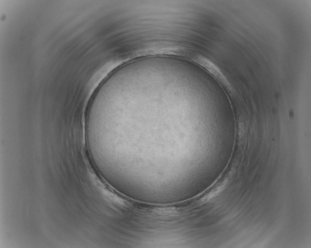 X0000074300844200609081915