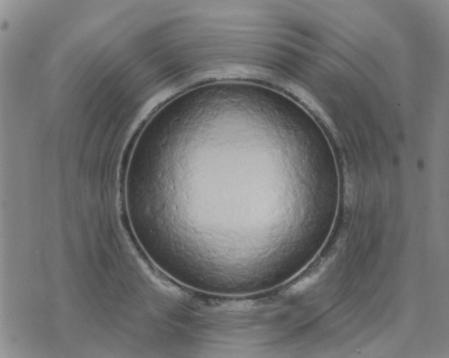 X0000074300845200609081915