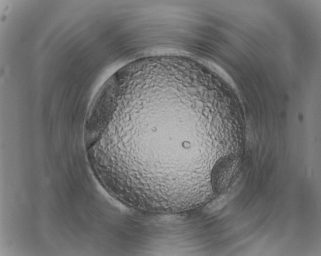 X0000074300847200609081915