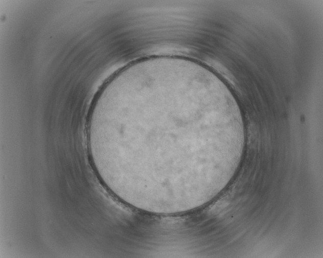 X0000074300848200609081915