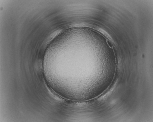 X0000074300849200609081915