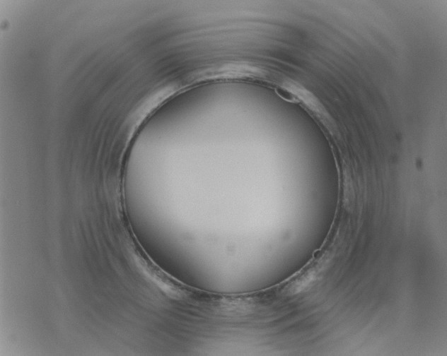 X0000074300850200609081915