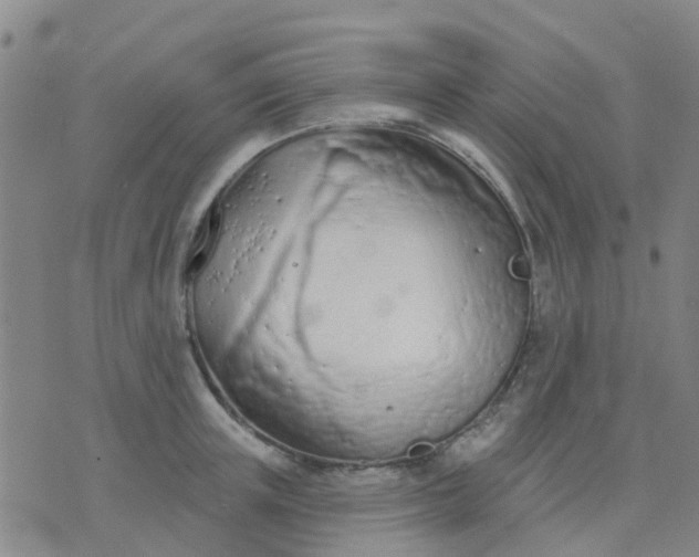 X0000074300851200609081915