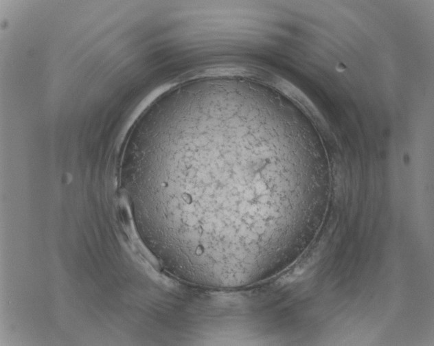 X0000074300852200609081915