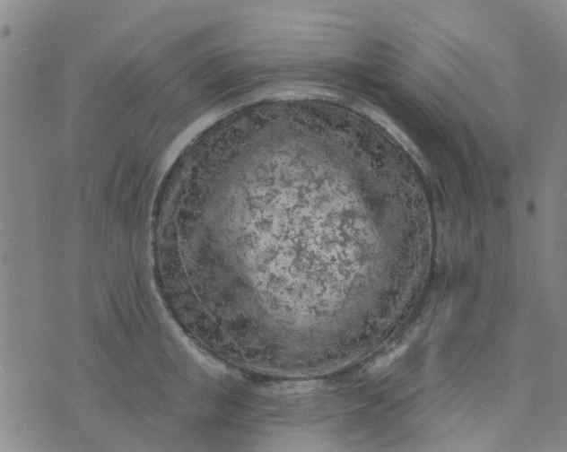 X0000074300853200609081915