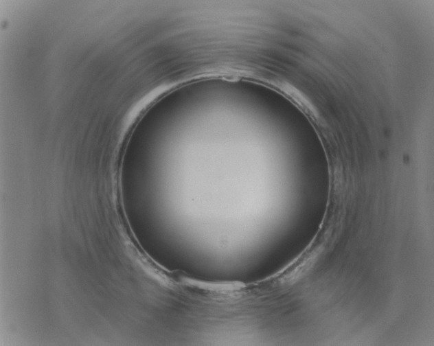 X0000074300854200609081915