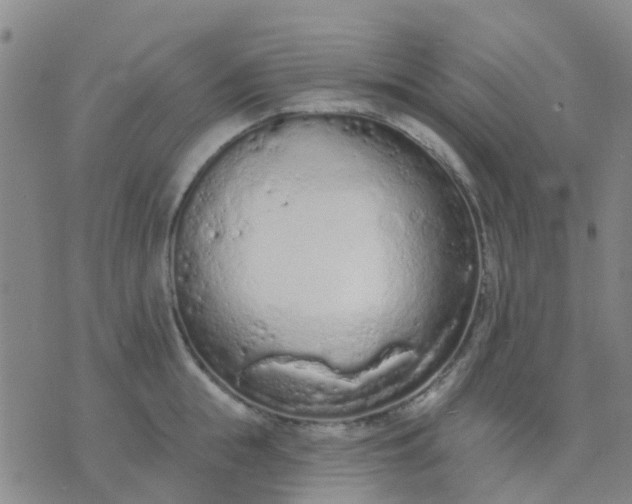 X0000074300855200609081915