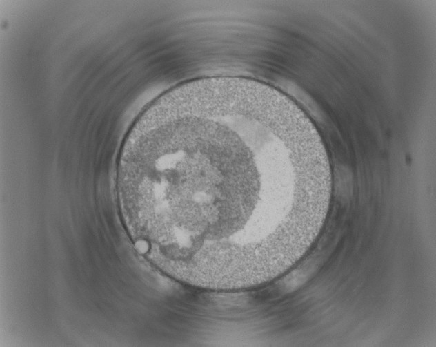 X0000074300856200609081915