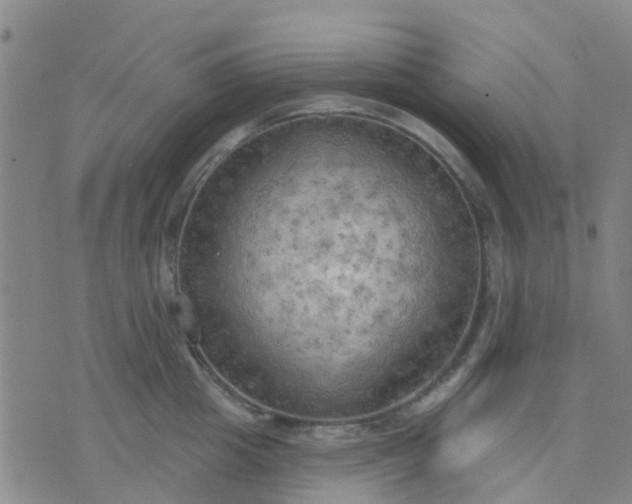 X0000074300857200609081915