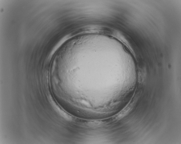 X0000074300859200609081915