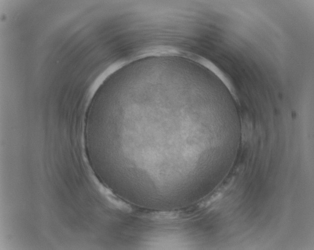 X0000074300861200609081915