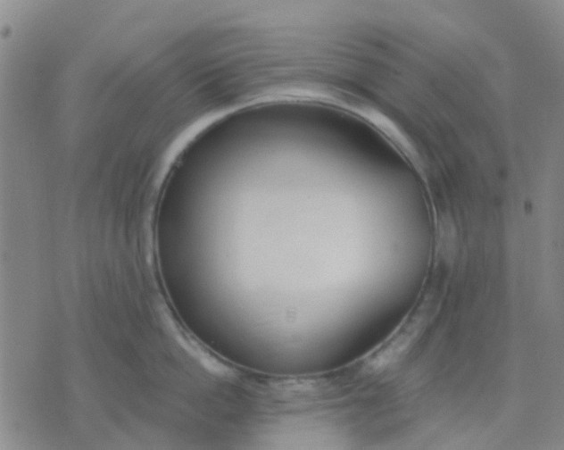 X0000074300862200609081915