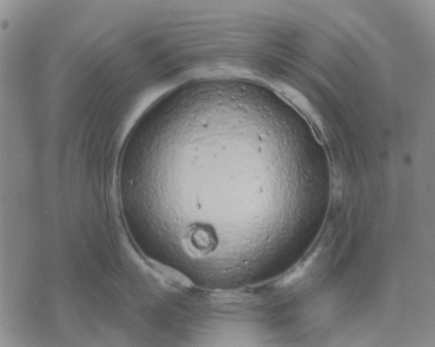 X0000074300863200609081915