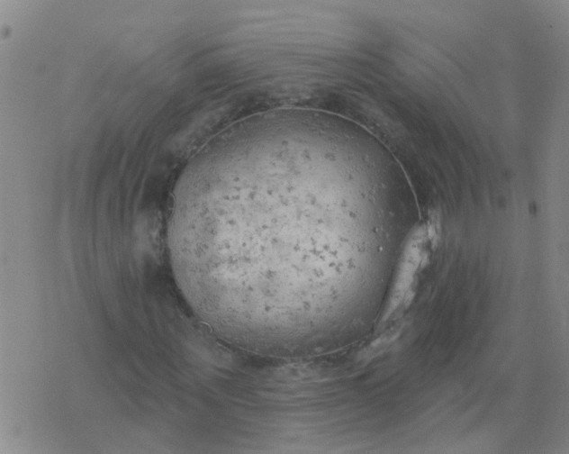 X0000074300867200609081914