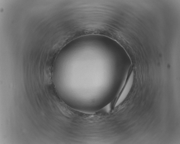 X0000074300868200609081914