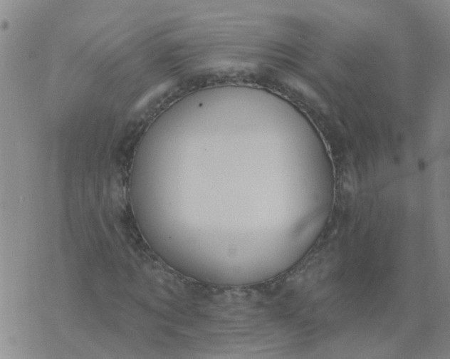 X0000074300869200609081914