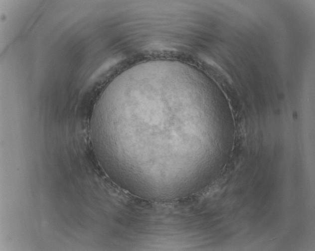 X0000074300870200609081914