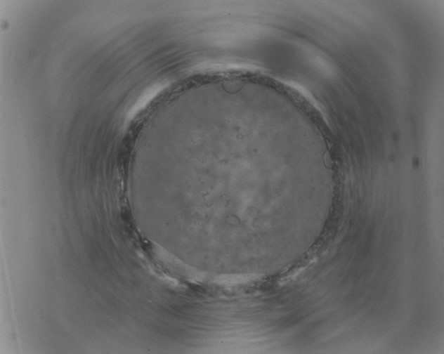 X0000074300871200609081914