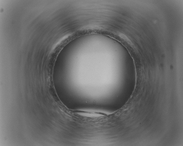 X0000074300872200609081914