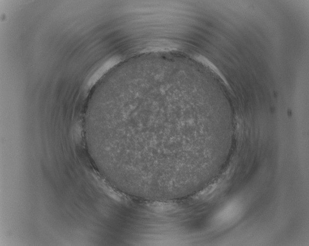 X0000074300874200609081914