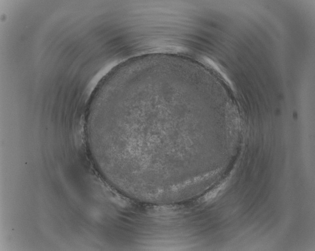 X0000074300875200609081914