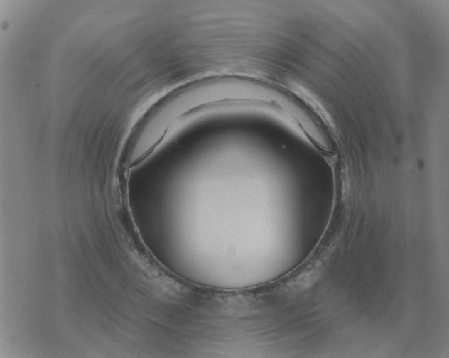 X0000074300876200609081914