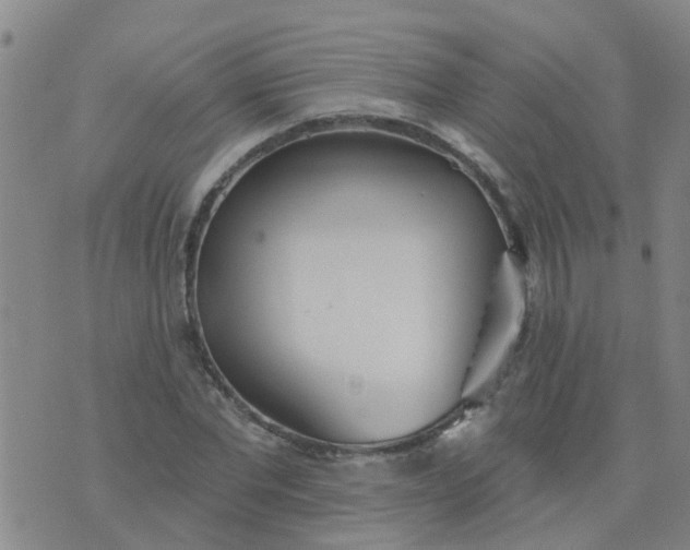 X0000074300877200609081914