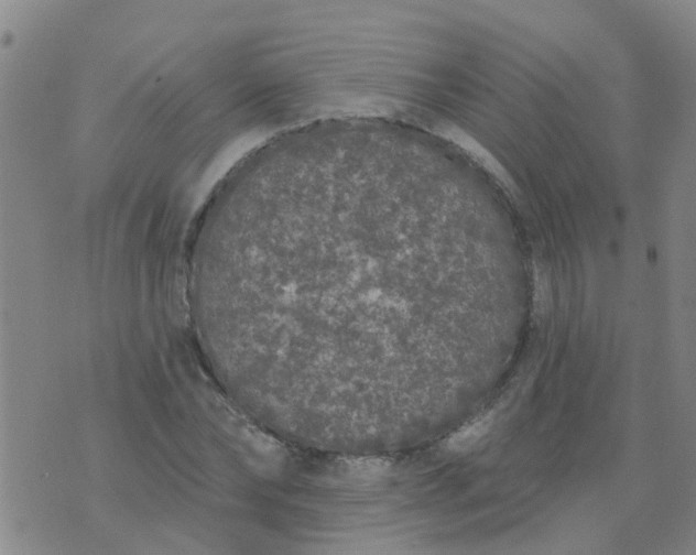 X0000074300878200609081914