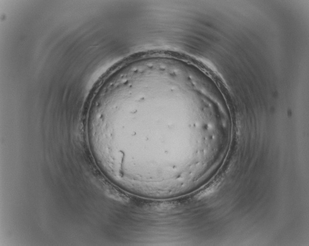 X0000074300879200609081914