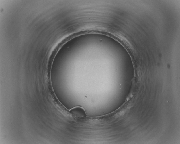 X0000074300880200609081914