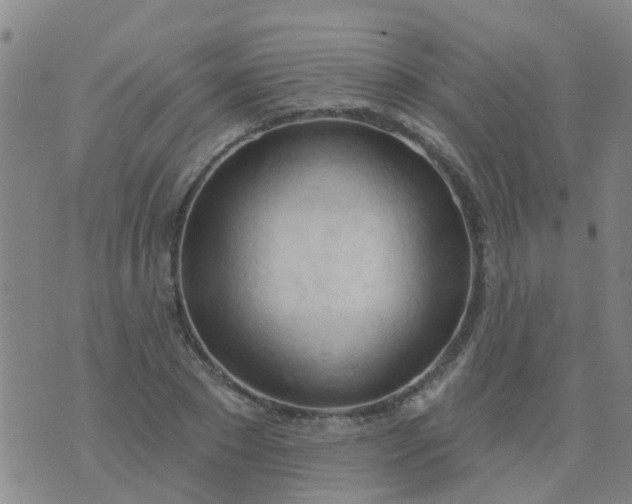 X0000074300881200609081914