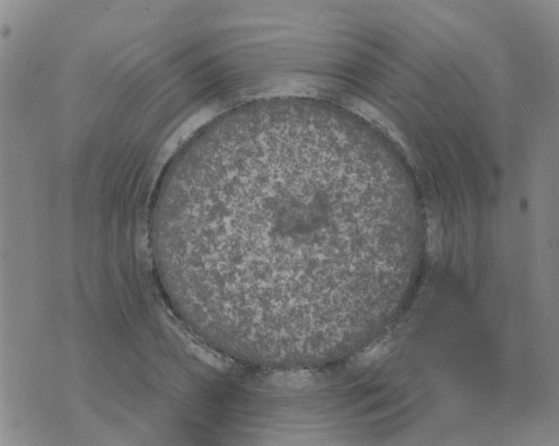 X0000074300882200609081914