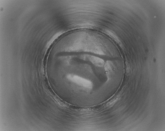 X0000074300883200609081914