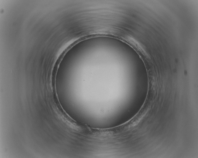 X0000074300884200609081914