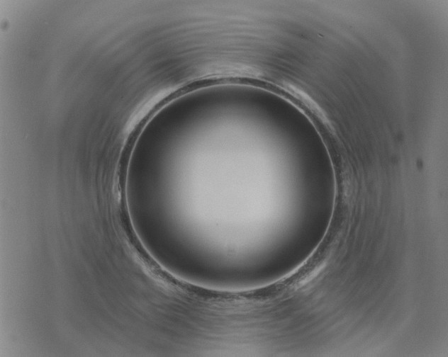 X0000074300885200609081914