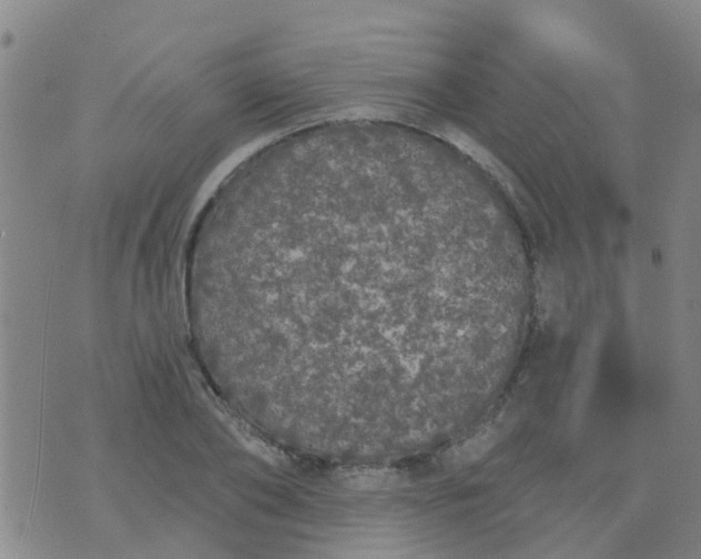 X0000074300886200609081914