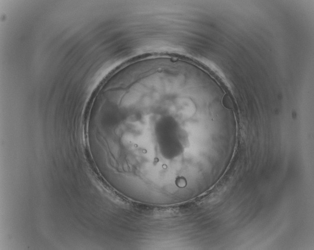 X0000074300887200609081914