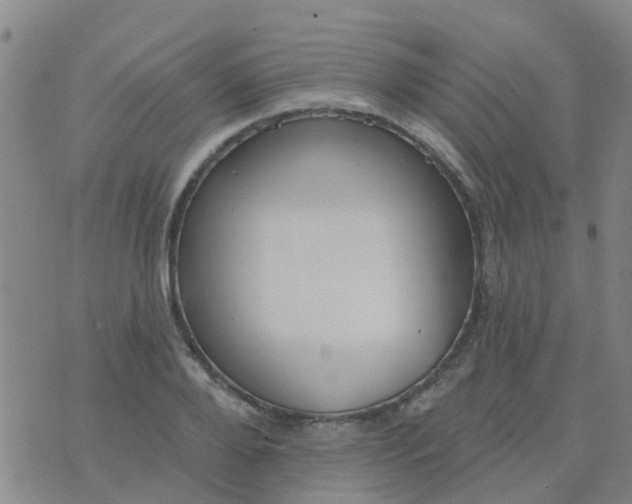 X0000074300888200609081914