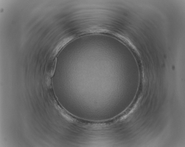 X0000074300889200609081914