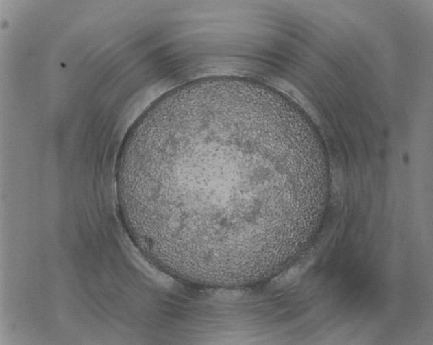 X0000074300890200609081914