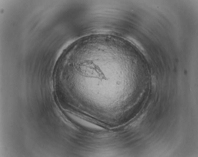 X0000074300891200609081914