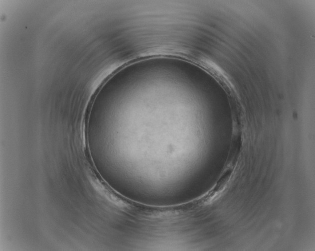 X0000074300892200609081914