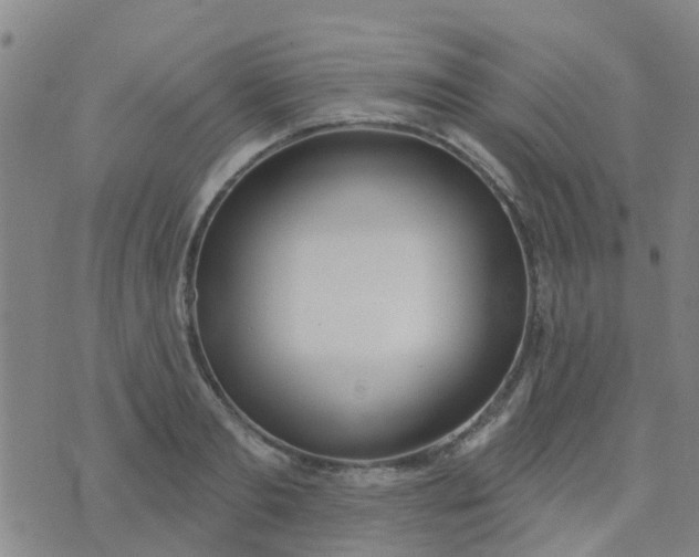 X0000074300893200609081914