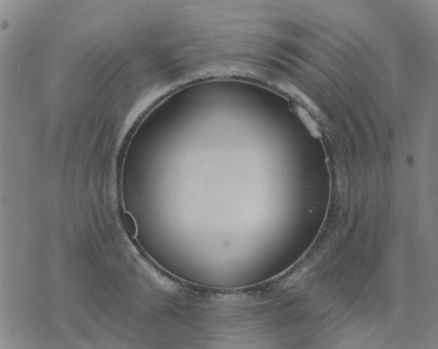 X0000074300894200609081914