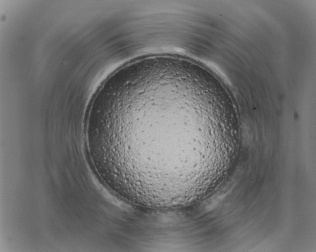 X0000074300895200609081914