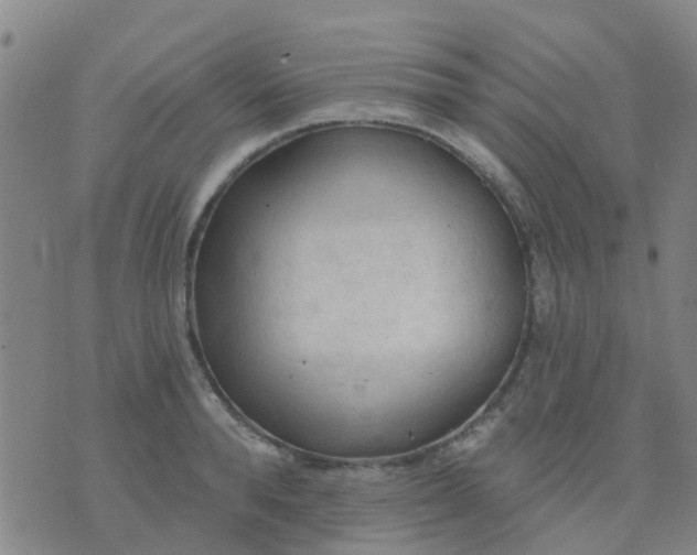 X0000074300896200609081914